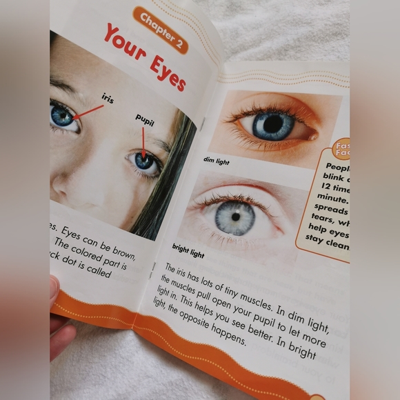 Scholastic Science Vocabulary Readers- Sunflower Life Cycle & Your Eyes and Ears - Picture 6 of 7